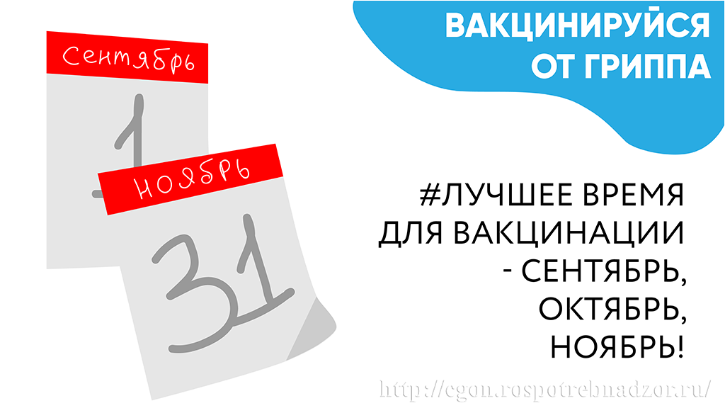 вакцинация лучшее время.png